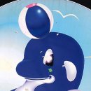 돌고래시장 이미지