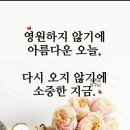 바라기와 버리기 이미지