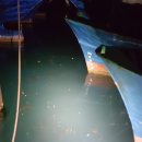 여기는 팔포항입니다 이미지