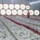 전남양계장 이미지