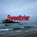 해당화마을 이미지