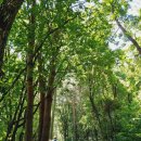 만해마을 청소년수련원 | 강원도 인제여행 숙소 여유롭게 쉬기 좋은 동국대 만해마을