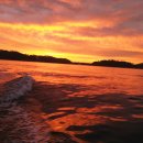 마검포레져하우스가족독채수영장 이미지