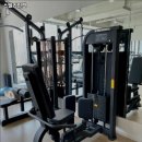 스텔라인핏 이미지