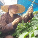 놀뫼푸드 이미지