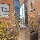 짚과헝겊