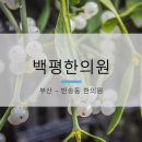 백평한의원 이미지