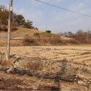 엄정면사무소 이미지