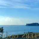 루아앤티그리 이미지