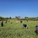 함덕농업협동조합 이미지