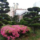 운림골농원 Daum카페