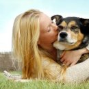 이건동물병원 이미지