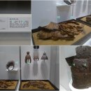 1.700여년전 가야속으로 들어 가볼 수 있는 곳 김해박물관 이미지