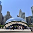 THE bean(더빈) | 시카고 여행 밀레니엄파크 더빈 인생샷! 핫플 필수코스 1위