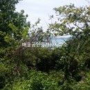 곰솔부동산공인중개사사무소 이미지