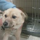 신석초교 이미지