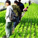 숯방마을 이미지