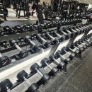 헬스