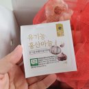 설초록홍화 네이버블로그