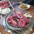 싱싱포크 이미지