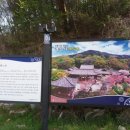 (주)아산레일바이크 이미지