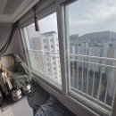 3098 | 송도 아파트 거실·베란다 단열 썬팅, 밝고 시원하게 완성!