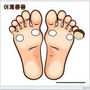 발바닥