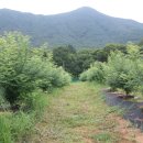 ㈜원예기업 이미지