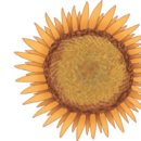 이야기로 배우는 수학 이미지