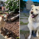 밖거리 민박 이미지