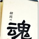 풍년상회 이미지