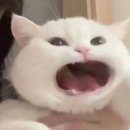 별하우스호스텔 이미지
