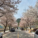 신동지낚시터 이미지