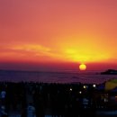 해맞이목장 이미지