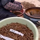 광일농원 이미지