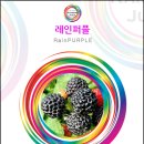 다니엘 전자담배 이미지