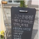 마카롱걸 이미지