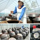 문덕장류마을회 이미지