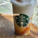 [포포일상]포토덤프 2차. 최근 먹부림, 맛집, 집밥 요아정후기들