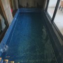 용촌키즈펜션 이미지