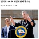 165_250421_CA filing a lawsuit to tariffs 이미지