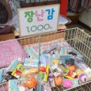 팰리스애견용품
