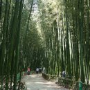 (주)엣나우