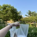 계란빵야 디저트카페 | 중랑구 카페 계란빵야 디저트카페 계란빵과 커피 조합 최고