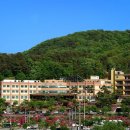 효정메디칼 네이버블로그