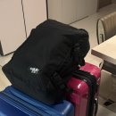 대덕국제여행사(주) | 대한항공 인천파리 KE901편, 로마인천 KE932편 이코노미 좌석 기내식 탑승 후기