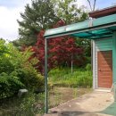 갑천초 금성분교장 이미지