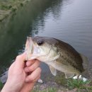 한림명동 이미지