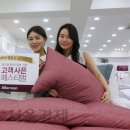 이덕아이앤씨서울 - 송파구 동남로 103 | 이덕아이앤씨서울