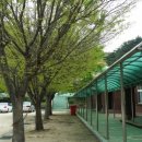 구)상동초등학교 이미지